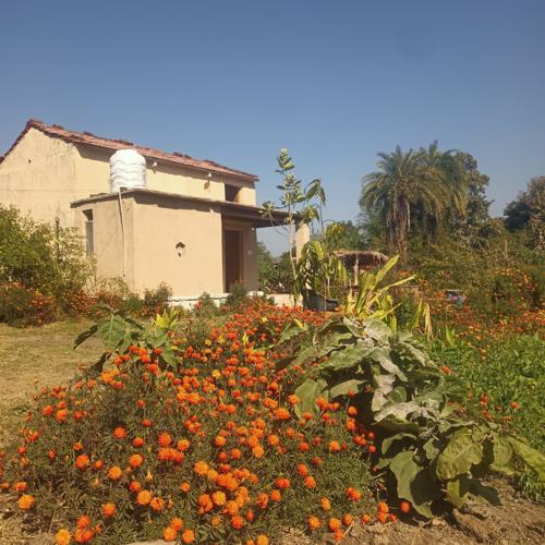 Mahakal Homestay, Khari